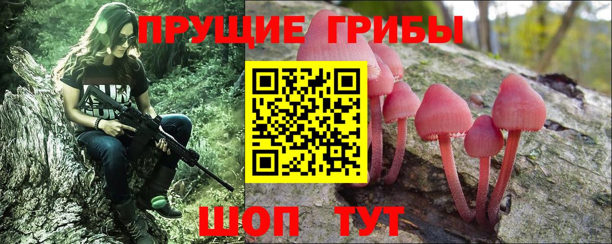 Звенигород  Галлюциногенные грибы мицелий  Вход с VPN 